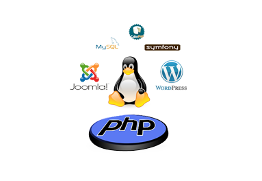 Evocode IT Services